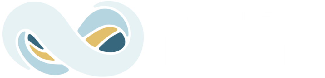 NetSuite-transparent_yhsdy-e1744595089392-1.png